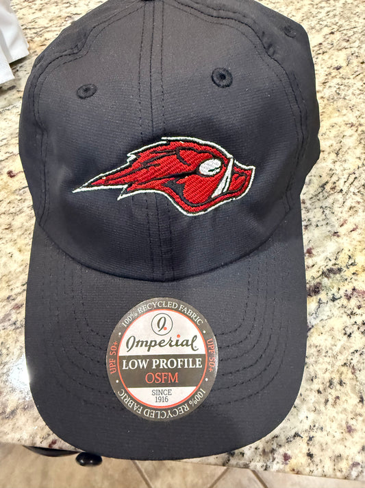 AquaHawgs Baseball Hat