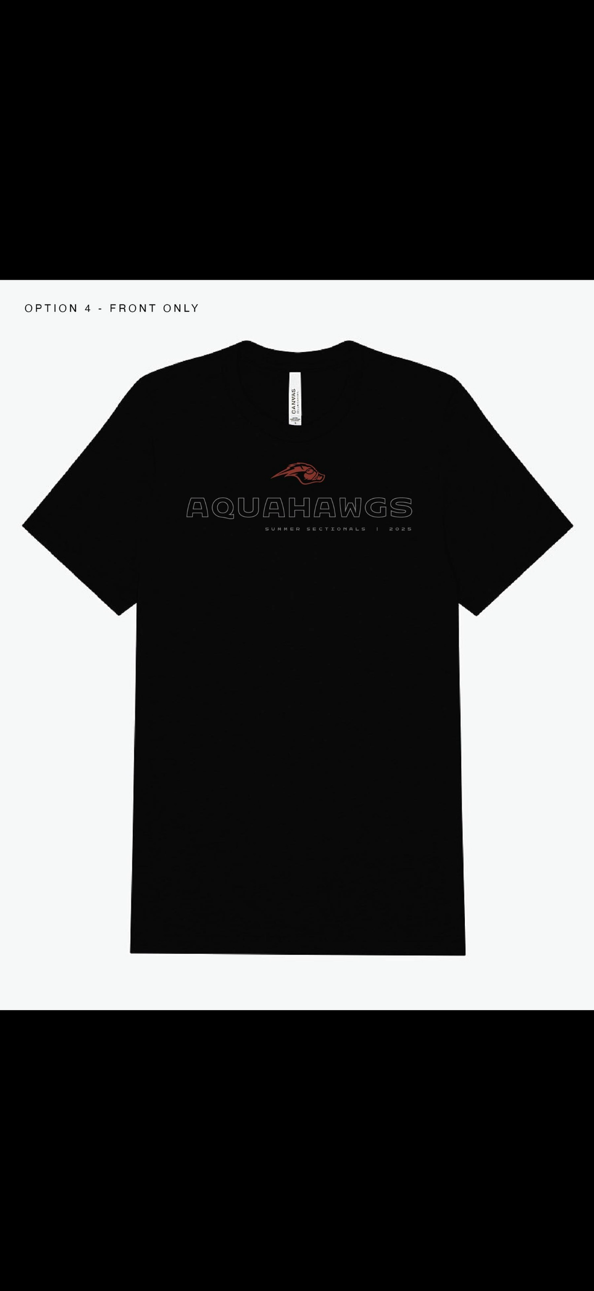 Black AquaHawgs Team shirt 2026-2027 (Copy 2)