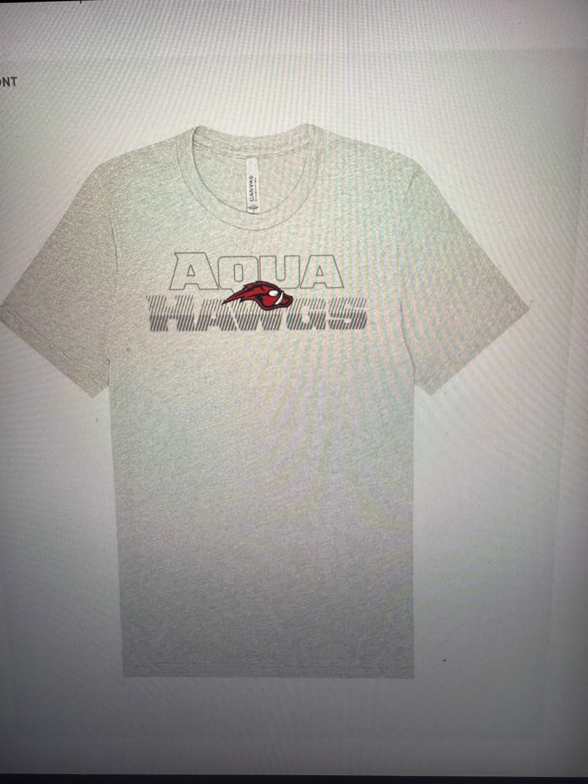 Grey AquaHawgs Team shirt 2026-2027