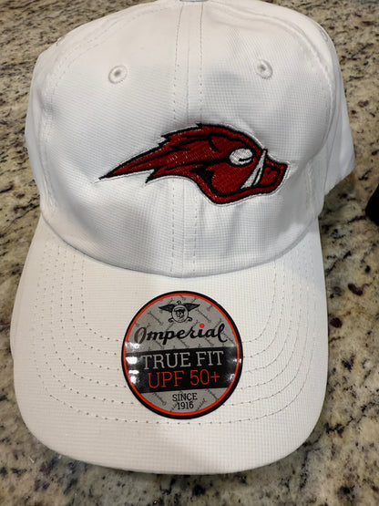 AquaHawgs Baseball Hat