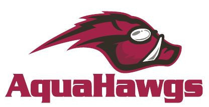 Car Decal  AquaHawgs